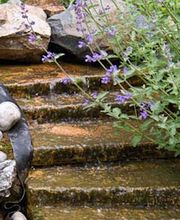 Dehaye Espaces Verts image 9