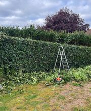 BCH Paysage image 13