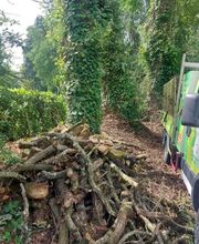 PAUL Elagage image 13