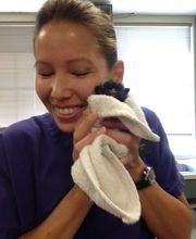 Belle Plaine Animal Hospital image 12