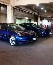 Avis Car Rental image 2
