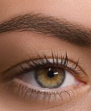 MICRO-CEJAS-SOMBREADO-ERRENTERIA-GUIPUZKOA.jpg