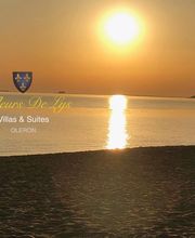 Les Fleurs De Lys image 2