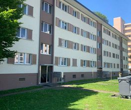 Pajo Malergeschäft GmbH Bild 6