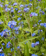 Le Domaine de La Barre Saint-Michel image 7
