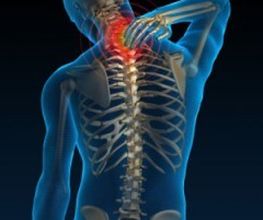 Pronk Osteopaat DO MRO