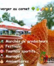 Maxifruit - Sorbets fermiers image 7