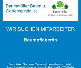 Baumpfleger/in