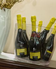 Gallery Professionale