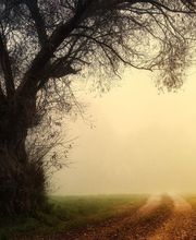 Grunder AG Bestattungsdienst