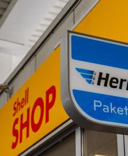 Shell Bild 20