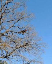 Corberon Environnement SARL image 7