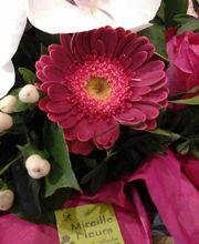 Mireille Fleurs image 11