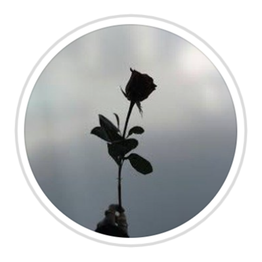 Black Roses di Caterina Galuppo logo