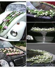 Le temps des Fleurs image 4