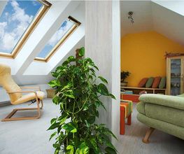 Main Dachfenster Bild 2