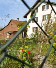 Biologische Landesprodukte - Biomeier in Full Bild 5