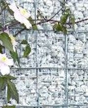 Garten Bronder Bild 7