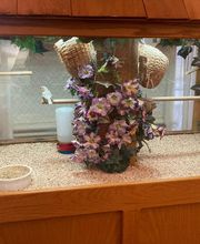 Majestic Care of Flushing Assisted Living image 11