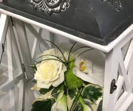 Floralia image 15