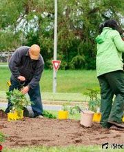 Francis Espaces Verts Jardins image 1