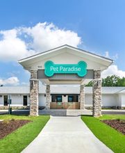 Pet Paradise Pooler image 5