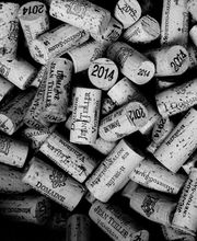 Domaine Jean Teiller image 5