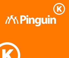 Pinguin Versorgungstechnik GmbH Bild 1