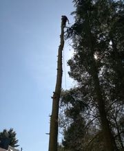 TC-Gartenbau Bild 15