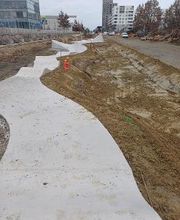 Cambou Lilian TP image 6