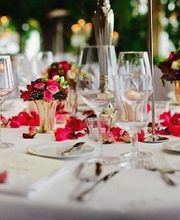 Pascal Colas image 2