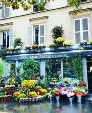Marceau le fleuriste image 11