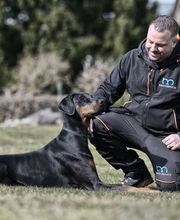 IMMO-SERVICE R. ISELI AG Bild 2