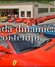 Gallery Cliente