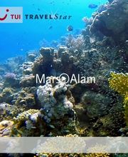 FIRST REISEBÜRO am Opernhaus Magdeburg Bild 11