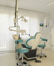 Dr. med. dent. Bognar Veronika Bild 1