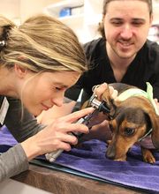 Valley Animal Hospital image 12