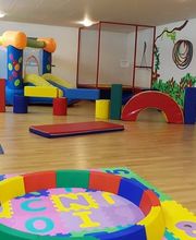 Kita Schmetterling Bild 5