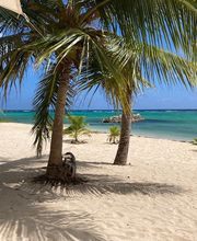 ID VOYAGES by Wild Dodo Bild 7