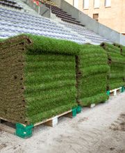 Die Wühlmäuse Frohs eK Bild 4