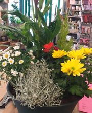 La Petite Boutique image 5