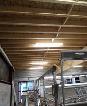 Cayla Laurent image 1