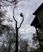 O COEUR DES CIMES image 4