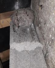 Lefevre Sébastien E.I image 5