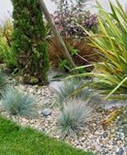 Christophe Merle Paysagiste image 3