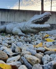 Mattli Naturstein AG Bild 1