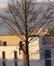 Haut Fil des branches image 4