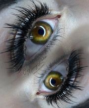 MonyLook - Augenbrauen, Wimpern & PMU Experte Bild 2