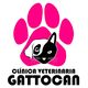 CLINICA VETERINARIA GATTOCAN