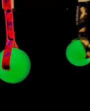 Zoo-Shop GmbH & Swissdogbox.ch Bild 13